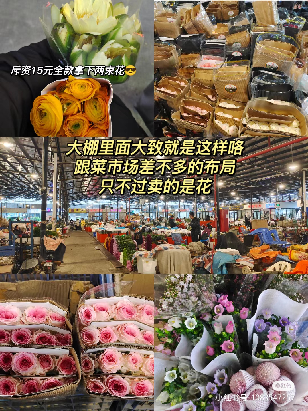 广州岭南花卉市场鲜花批发,广州岭南花卉市场买花攻略