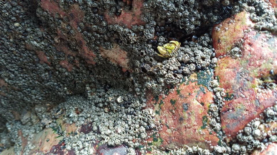 浙江境内蓝色大海,藏在这个与福建交界的小县城,不用坐船就能到