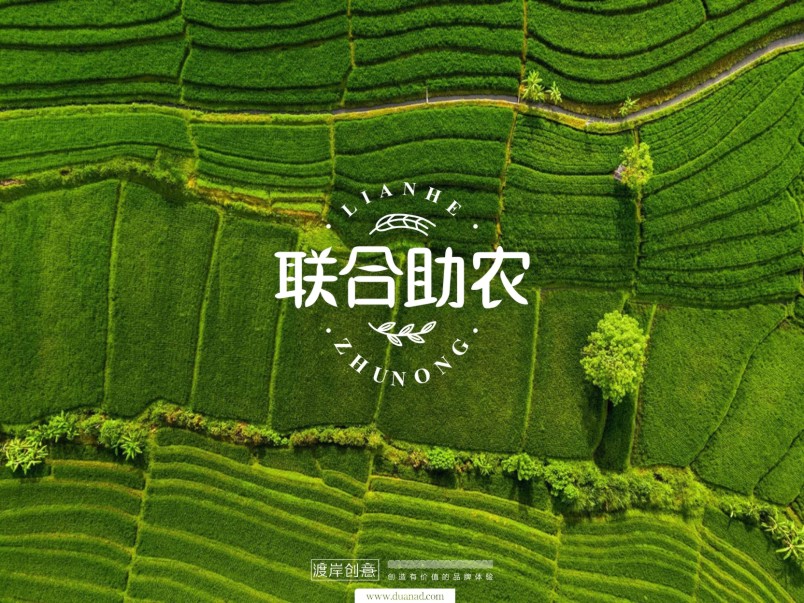 苏州市包装设计公司,南昌专业包装设计公司案例