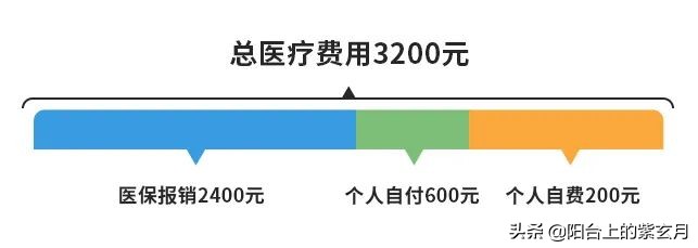 个人自付和个人自费什么区别,个人自费和个人自付区别