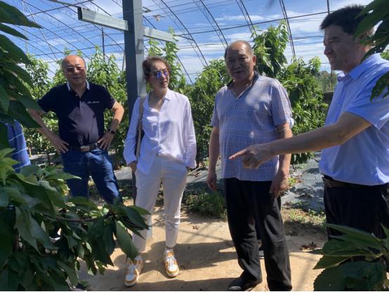 北京新广汇招商合作,北京新疆企业商会