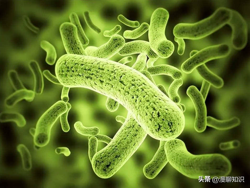 妇阴康洗剂的用途,妇阴康洗剂是抗生素药吗