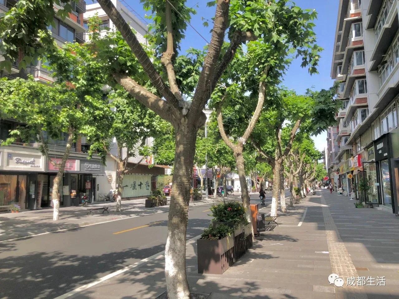 成都小众老街,成都有特色的老街