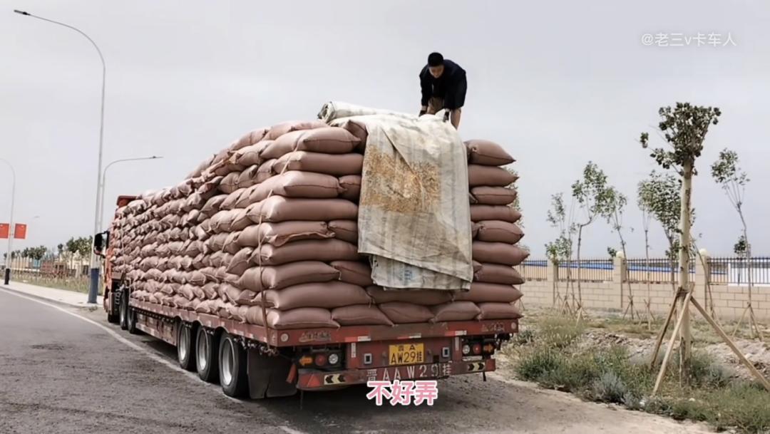 卡车司机夫妻感人视频,卡车司机夫妇的日常