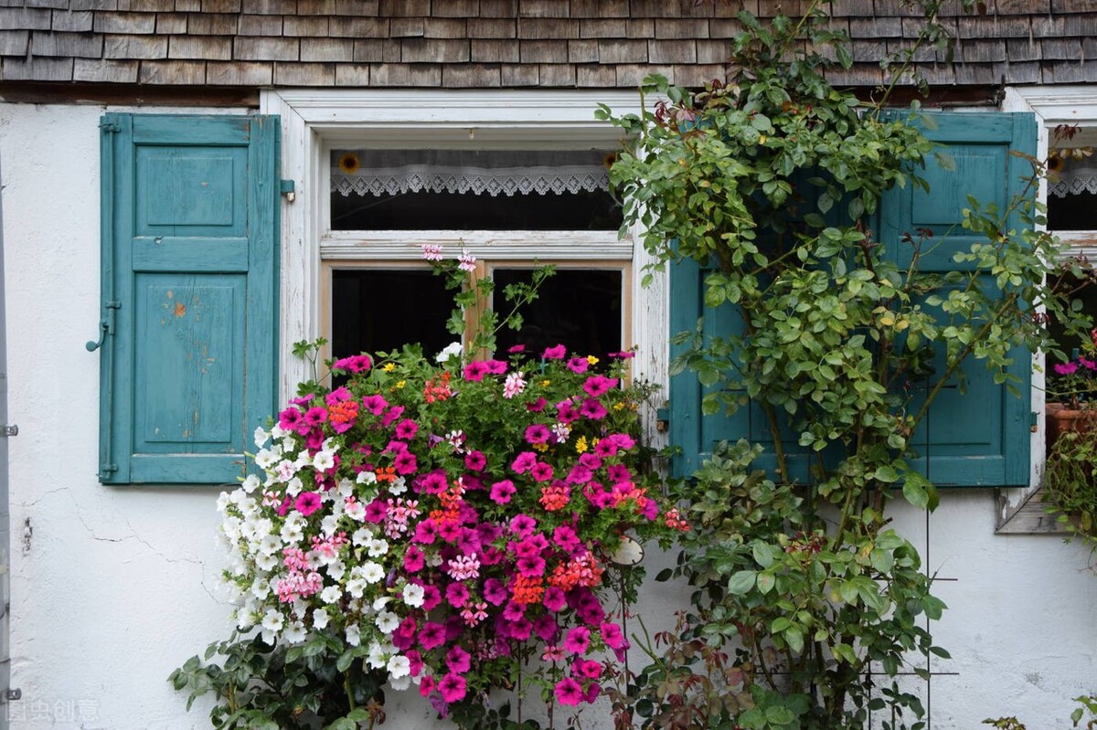 新手开花店怎样进货,新手如何开一家网上花店