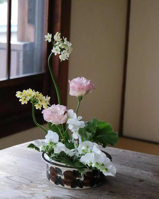 不会插花的句子,不会插花怎么办