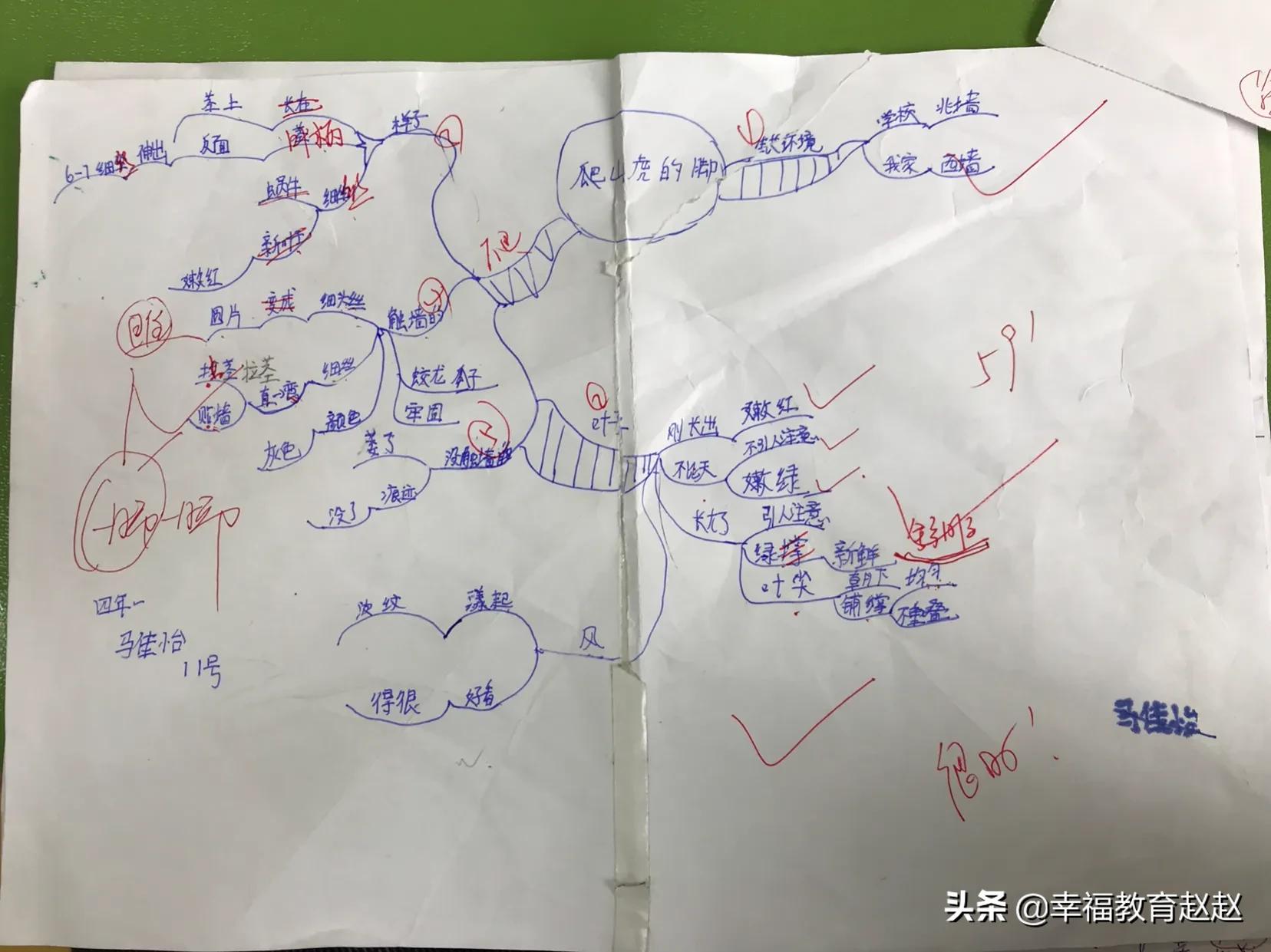 爬山虎的脚思维导图怎么画图片,爬山虎的脚思维导图绘画过程