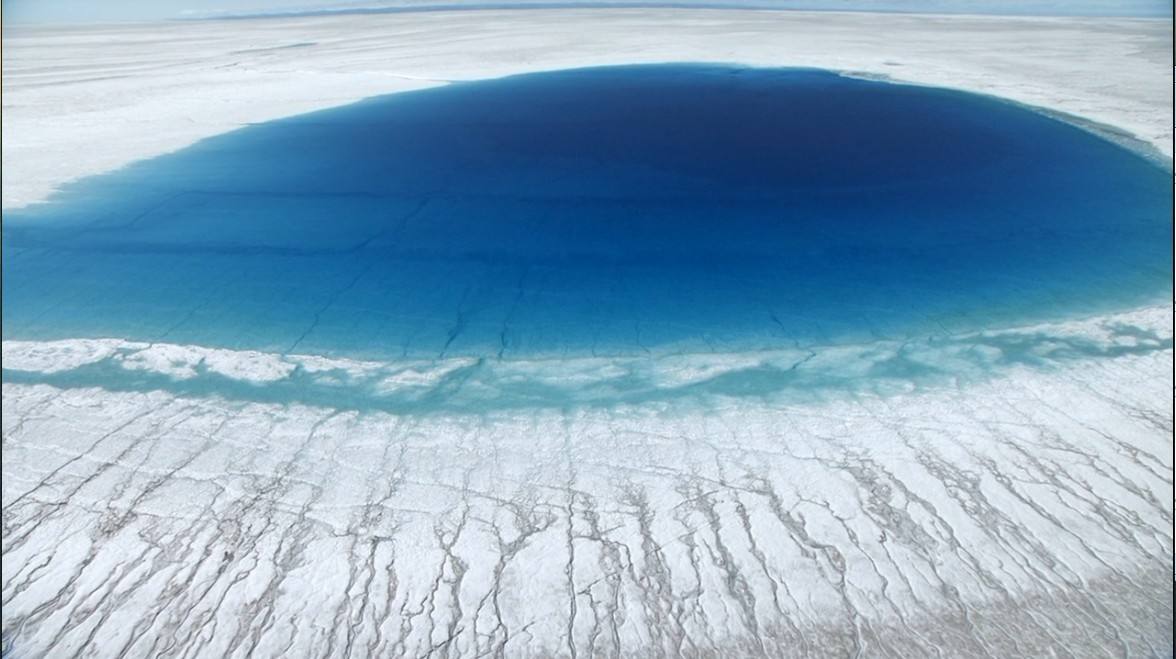 南极发现远古病毒人类如何应对,北极新发现了远古病毒吗