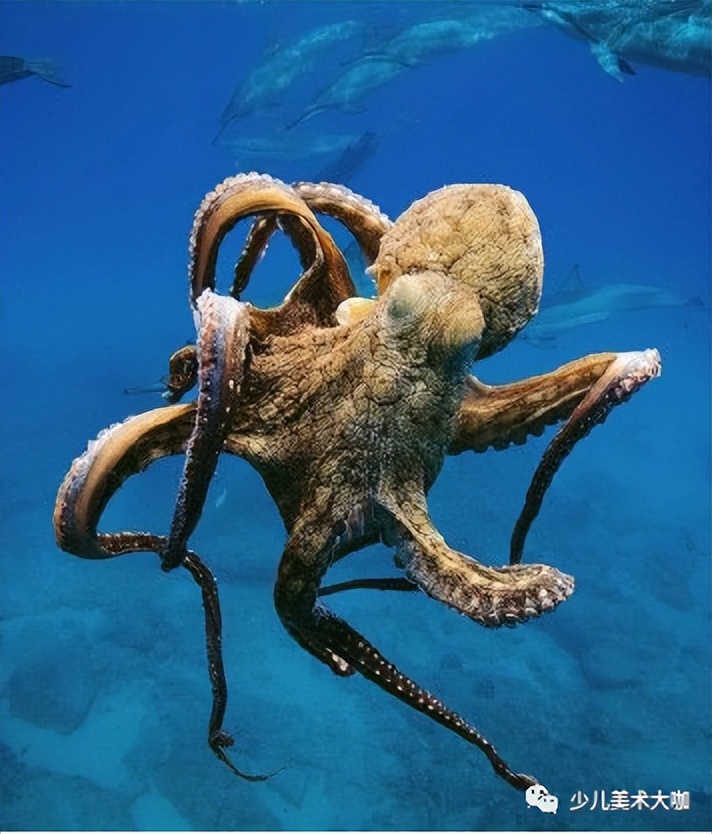 创意美术简单易学,创意美术幼儿