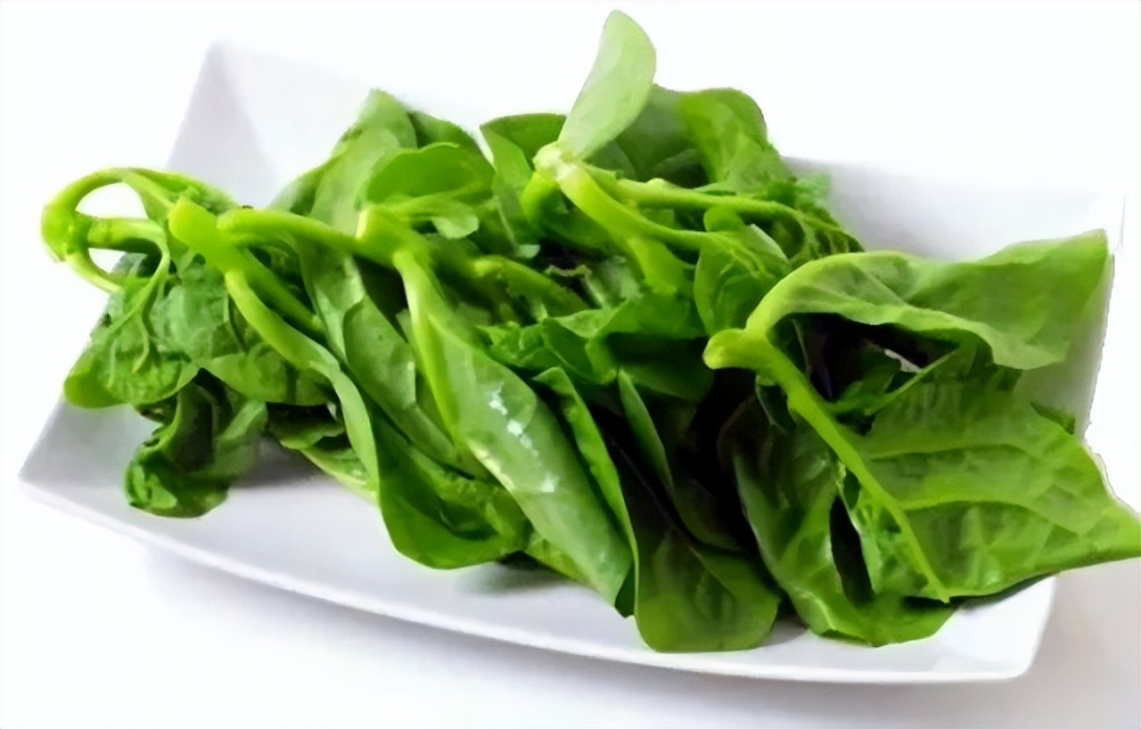 木耳菜能生吃的吗,木耳菜可以随便吃吗