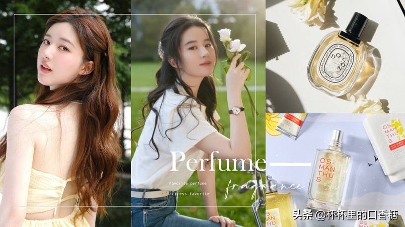 赵露思种草香水,赵露思喜欢哪款香水