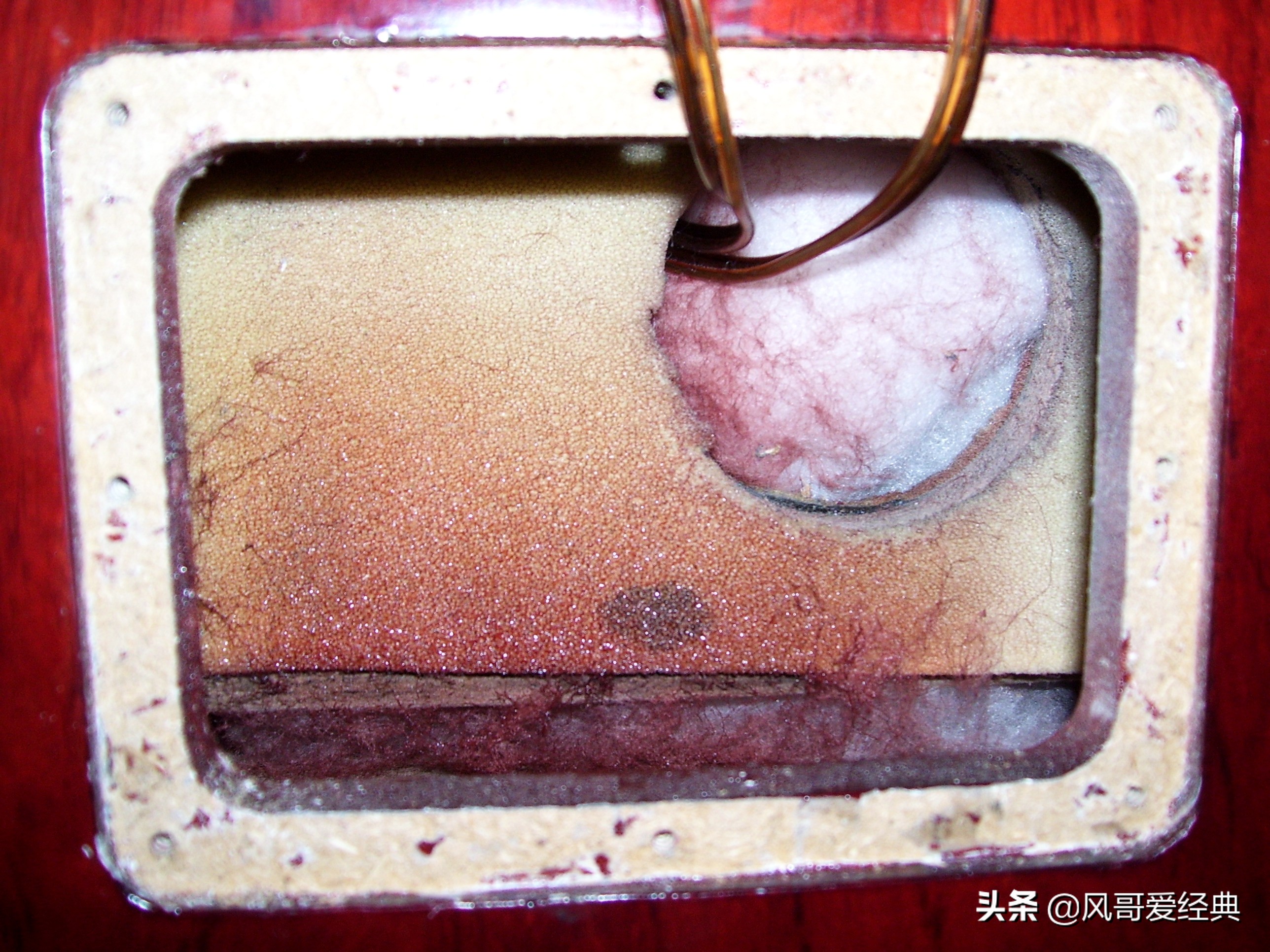 缂柉b40,缂柉b40闊崇