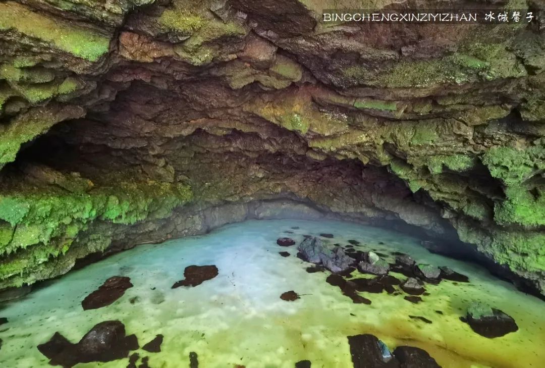 火山口国家森林公园与地下森林,清凉度夏探秘地下森林