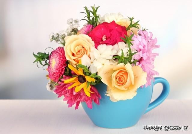 3月15日早安每日问候祝福语,三月最美早安祝福语