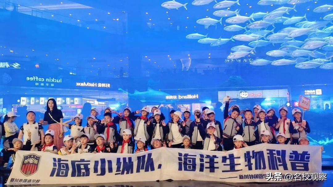 蔚蓝做苍穹，鱼儿变繁星！新川学子，走进浩海立方，探秘无限海洋