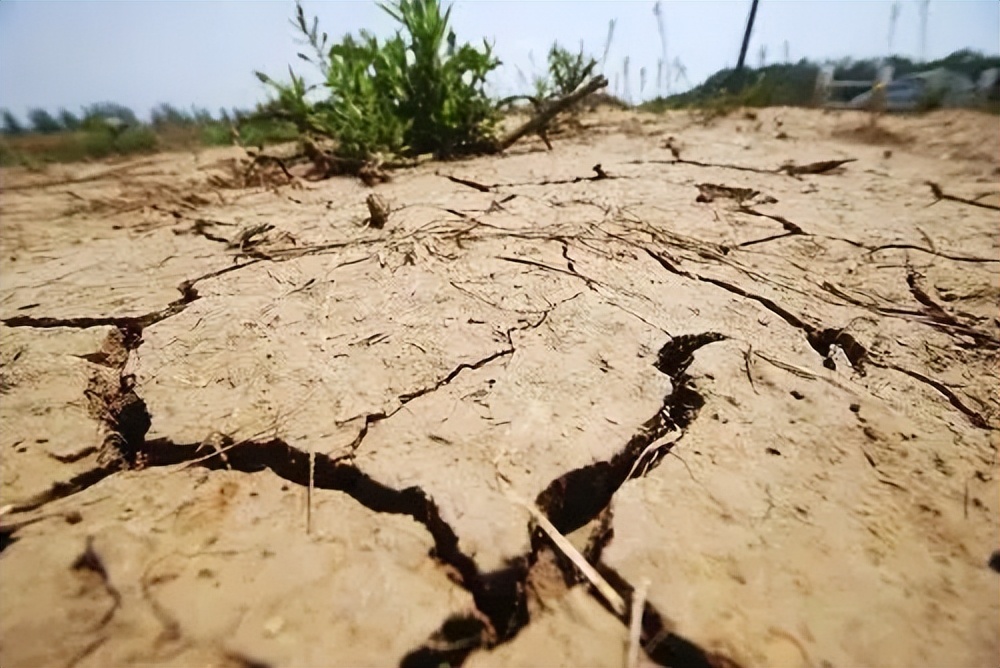 土壤测试仪在土壤能长期用吗,土壤ph测试仪制作