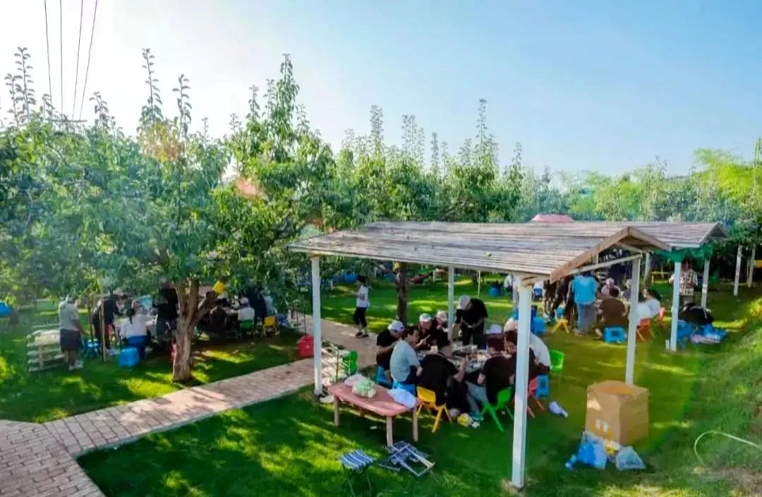 呈贡可以露营的公园,呈贡附近小众的露营地