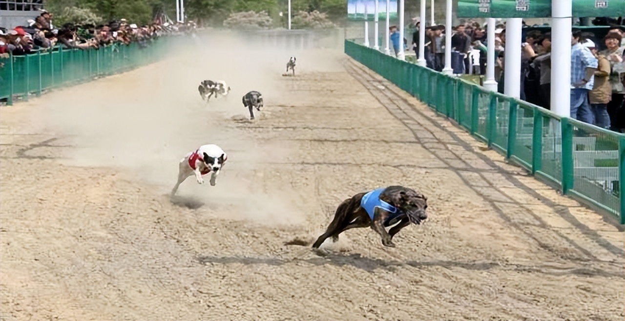 泰州姜堰出发自驾1日游好去处攻略推荐