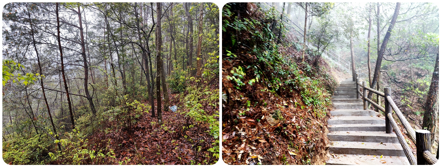 日常无需充电的太阳能智能运动手表：GARMIN本能Instinct2体验