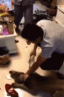 坐高铁遇到旁边老阿姨脱鞋,坐高铁遇到旁边阿姨脱鞋