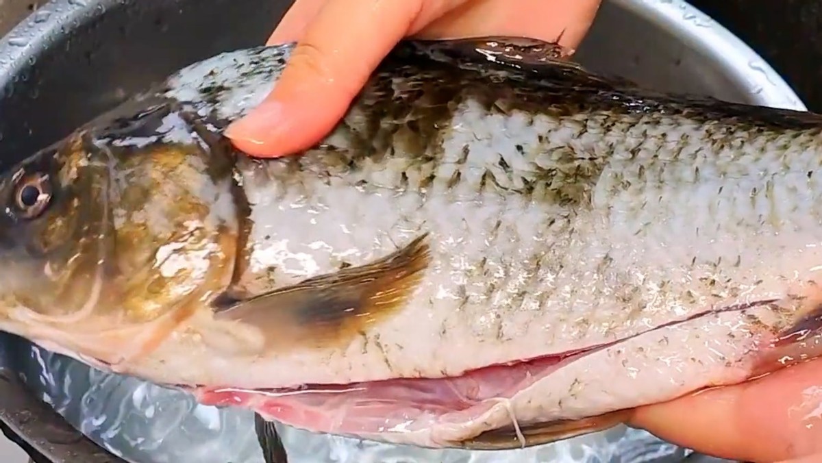 晚上睡不着可以吃什么助眠药,老年食用哪种助眠药