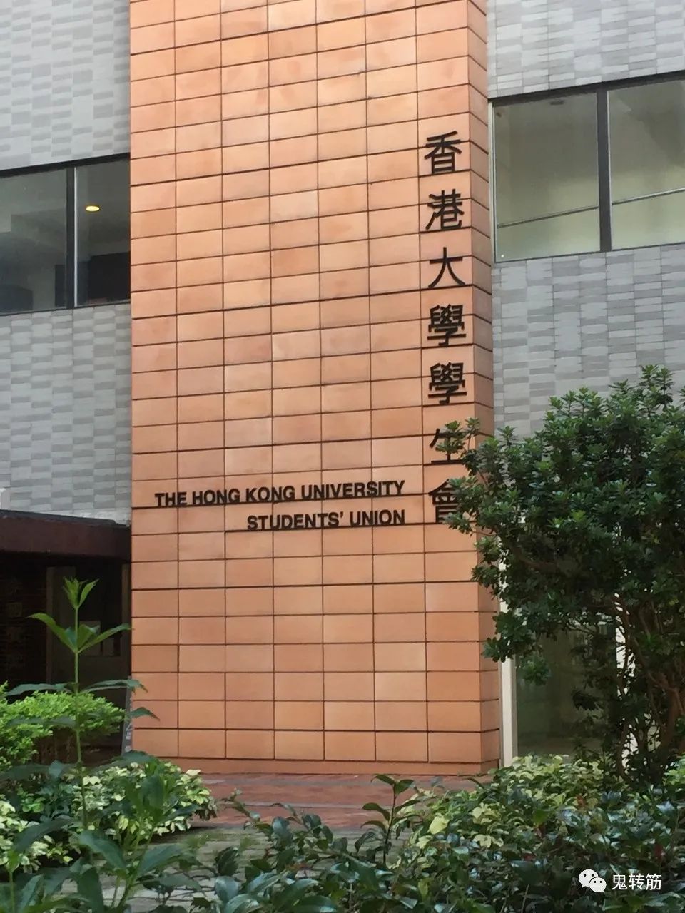 香港游玩美食攻略,香港澳门游玩