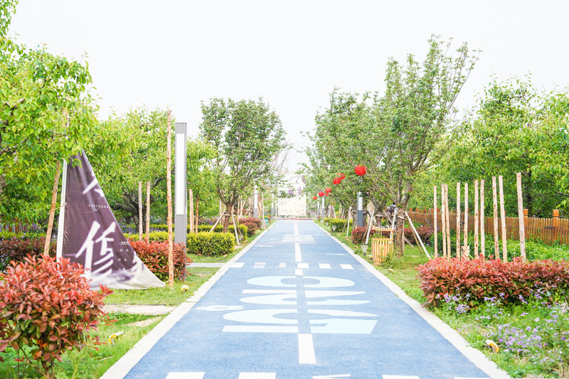 宿州两日游,安徽宿州一日游推荐