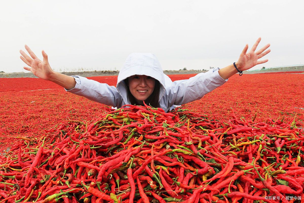 咸阳特产必买的10款,咸阳长武县十大特产