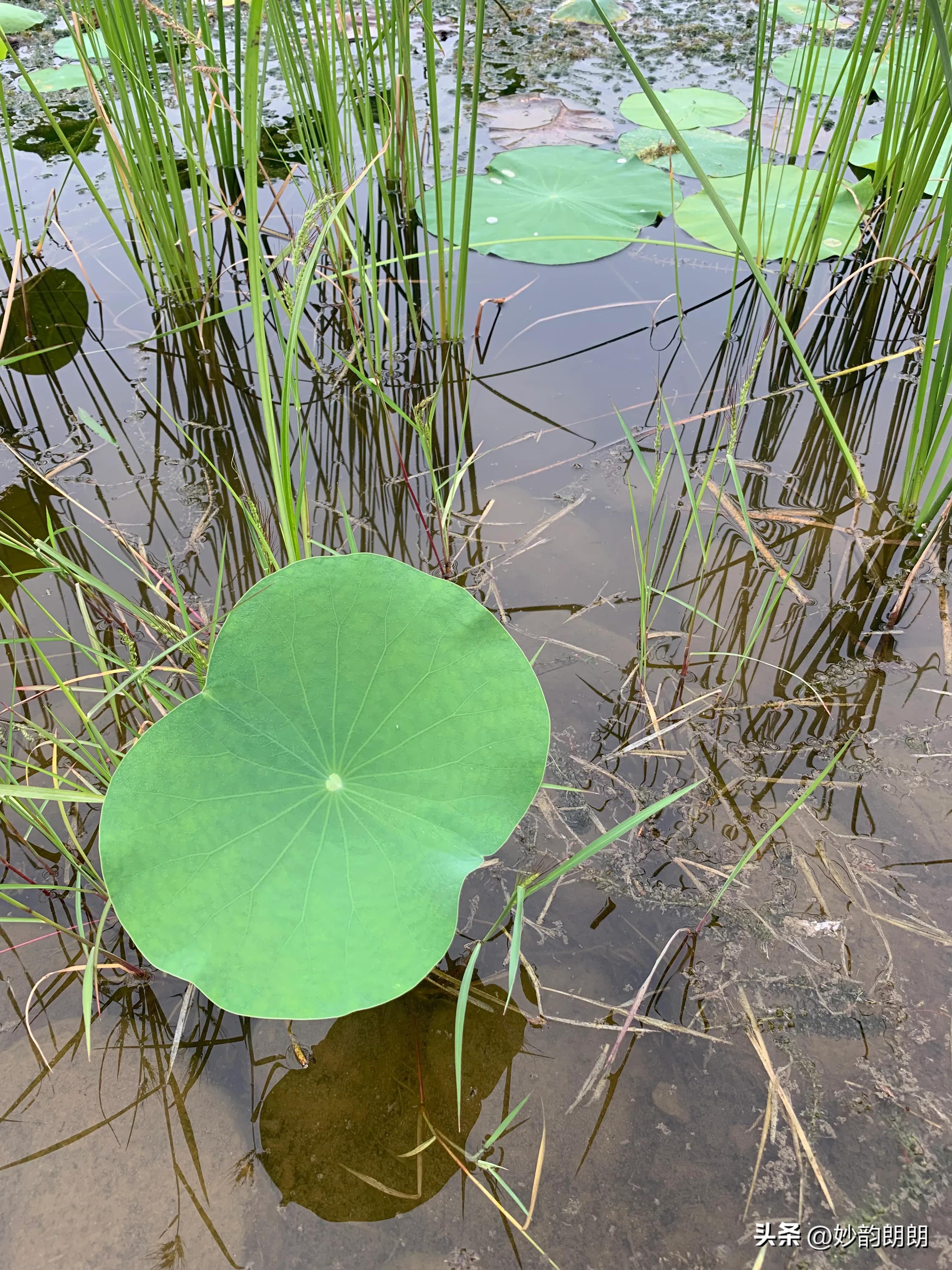 日本已正式开始核污水排海,如何看待日本核废水排海事件