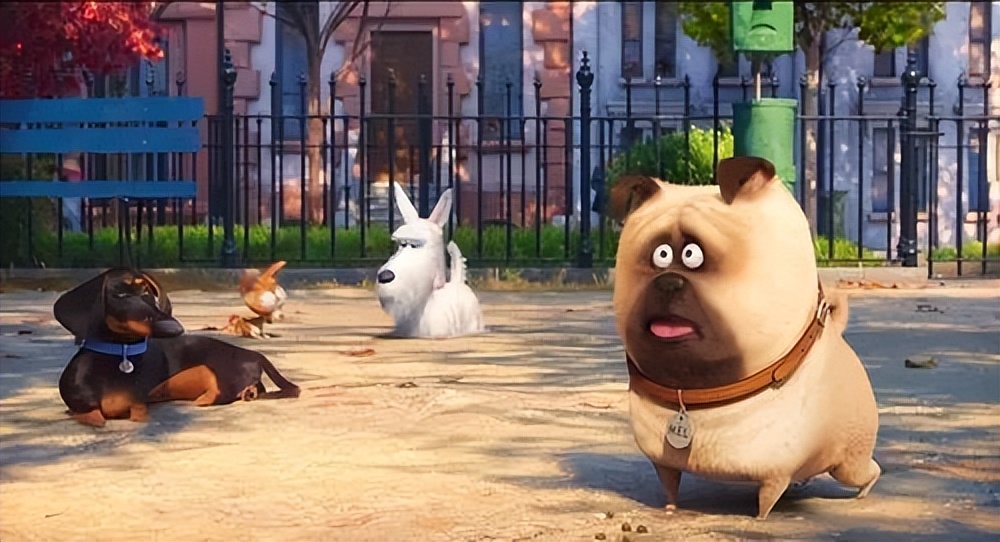 爱宠大机密这类电影推荐,welcometonewyork爱宠大机密