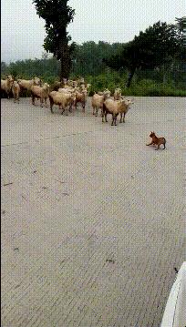 女孩子看见照片后就发个哈哈哈,姑娘不是什么照片都能随便发的