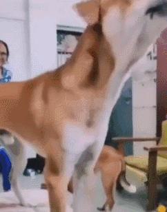 女厕的诡异事件,诡异女厕