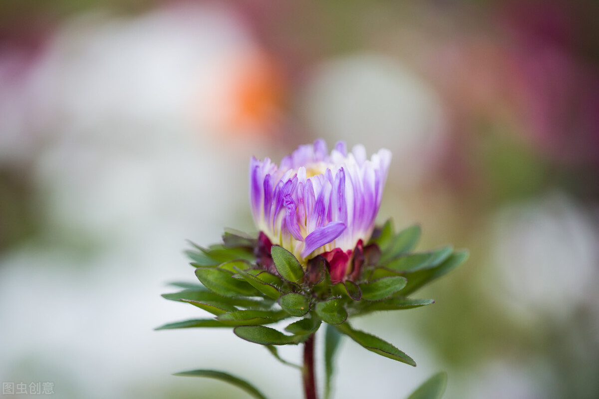 延迟满足的能力,延迟满足的好处是什么