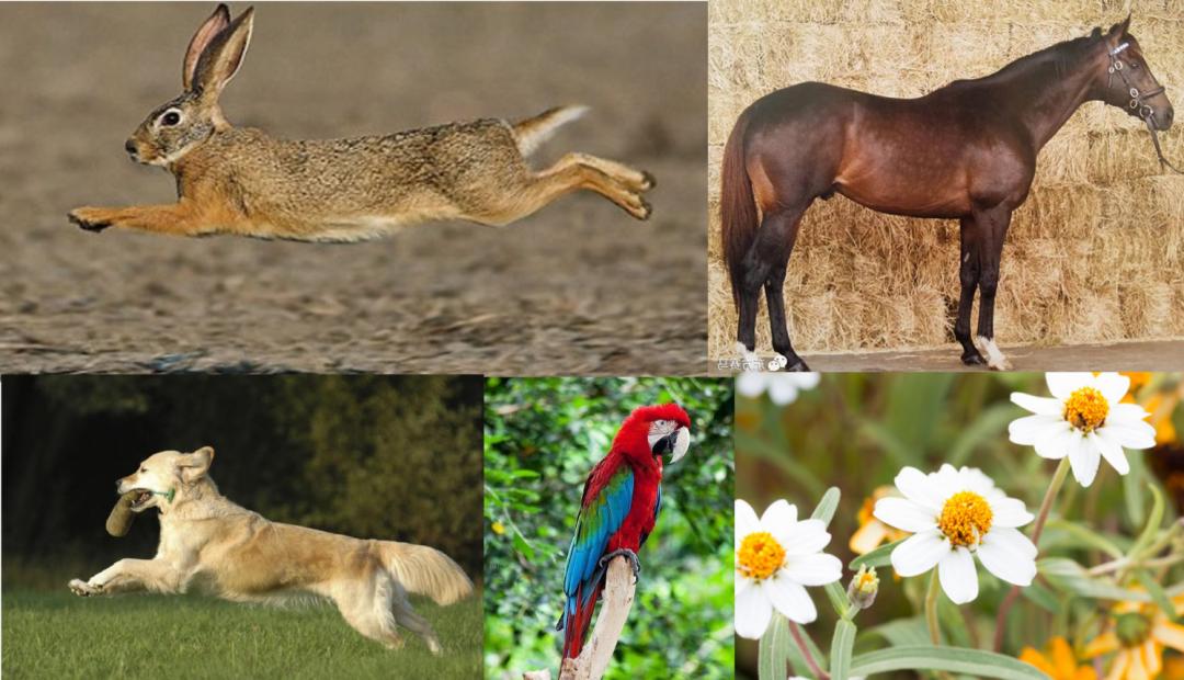 如何画插画感的画,来来绘画