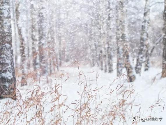 关于十月十五的谚语,农历十月谚语你知道多少呢