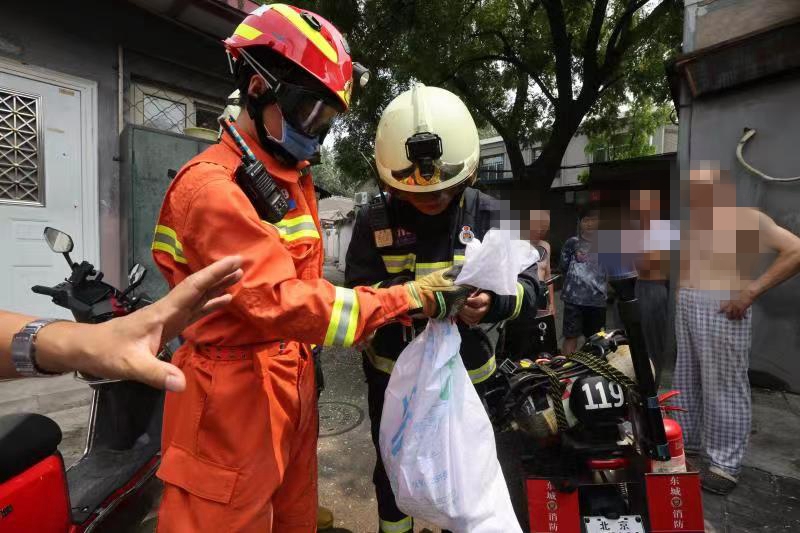 居民家中现1米2长巨型蜥蜴,住户家中惊现巨型蜥蜴