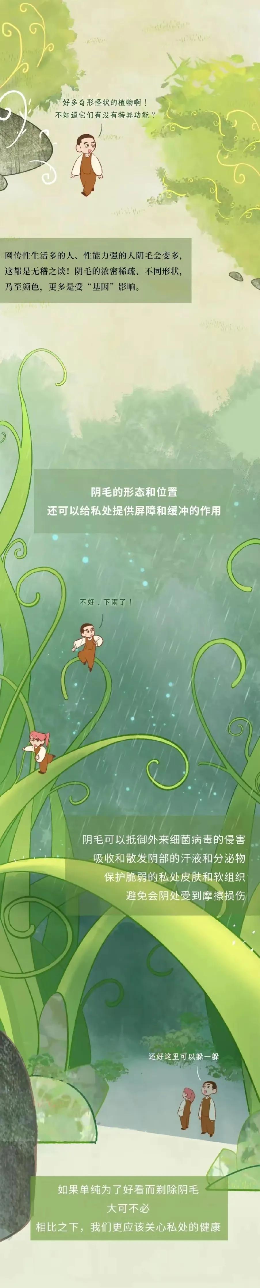 漫画分享：人类阴毛从出生到脱落的全过程
