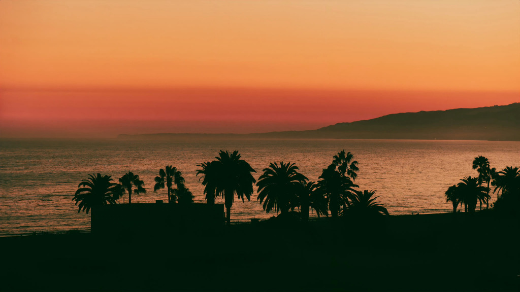 什么是股票的认沽认购权证,认购认沽期权是什么意思
