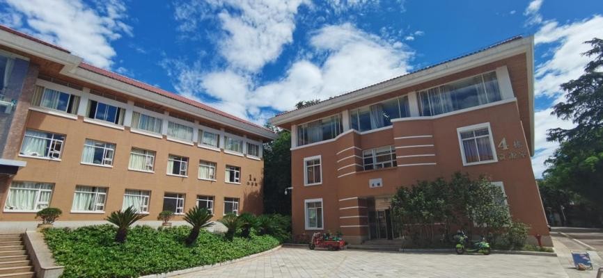 石斛兰眼霜3.0,植物医生石斛兰眼霜礼盒款