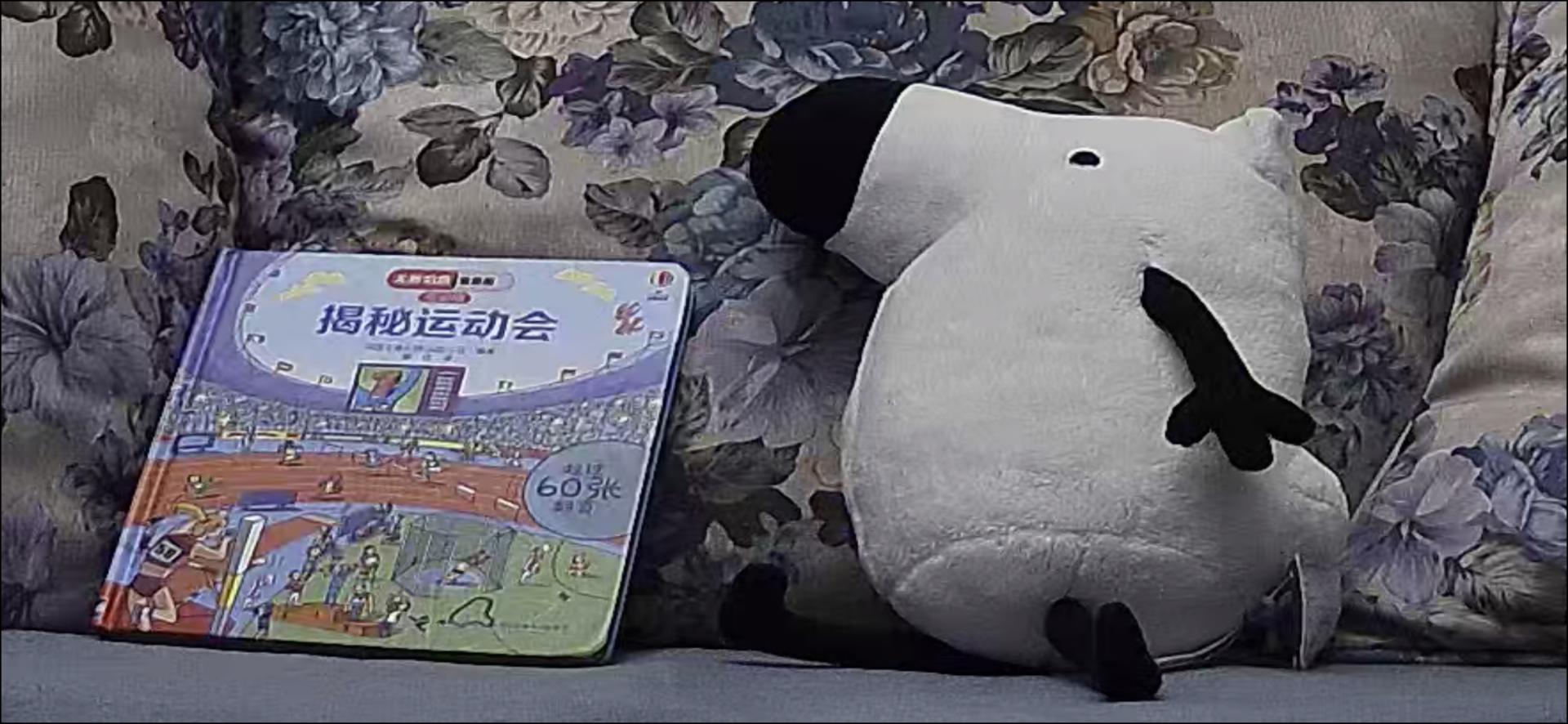 最新家用摄像头功能介绍,家用摄像头安全性排名