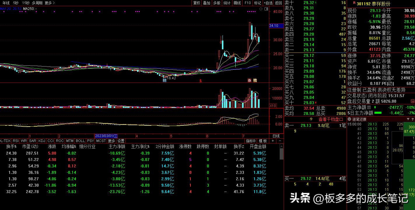 个股经典复盘,牛股复盘100分钟