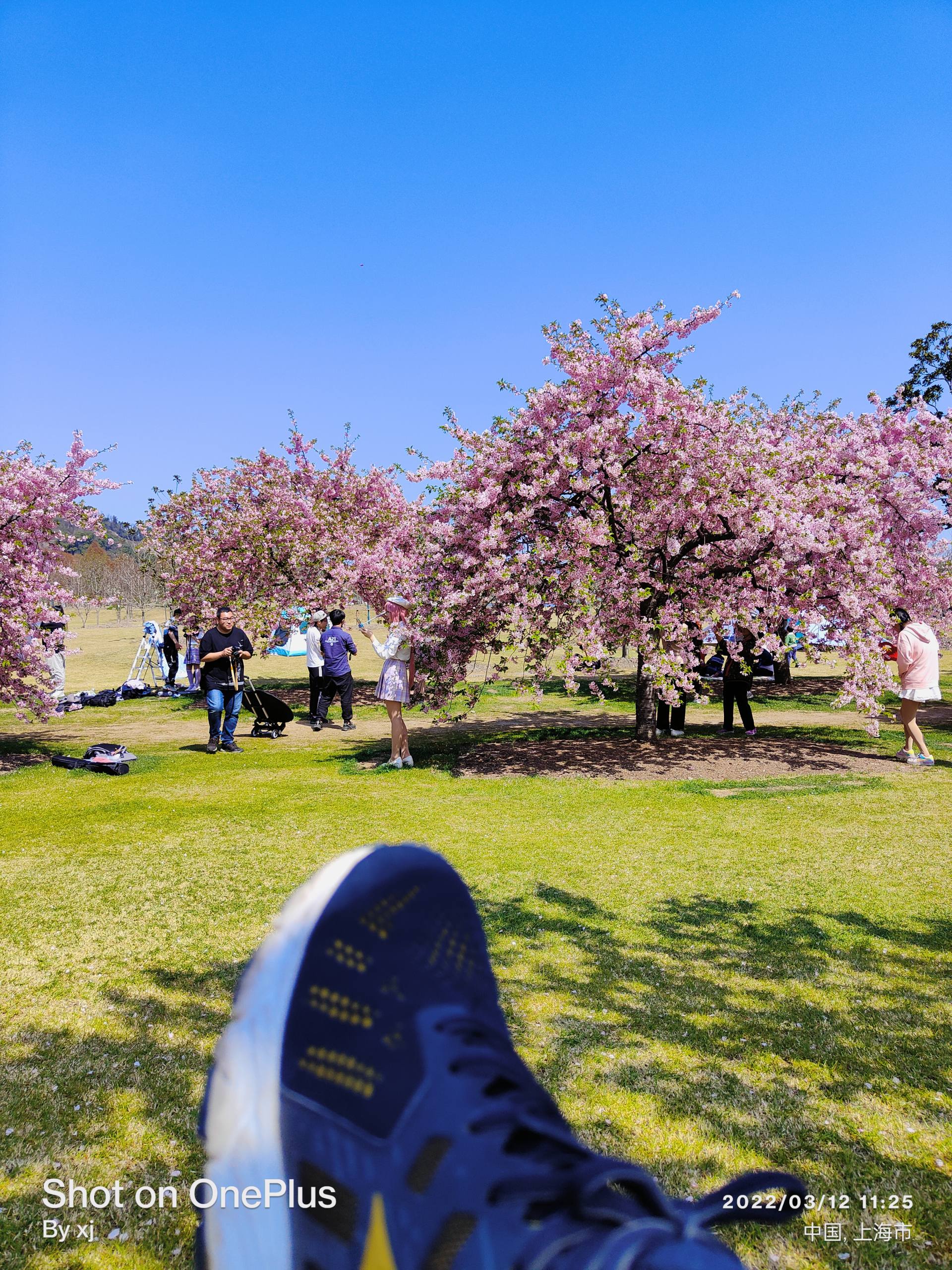数码摄影入门器材推荐,穷玩摄影推荐预算100到300单反
