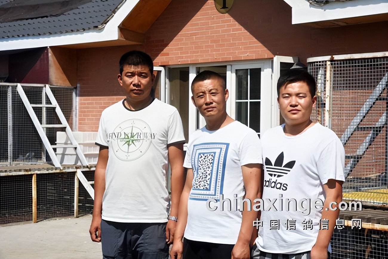 开创者教练何贵：赛鸽贵在坚持