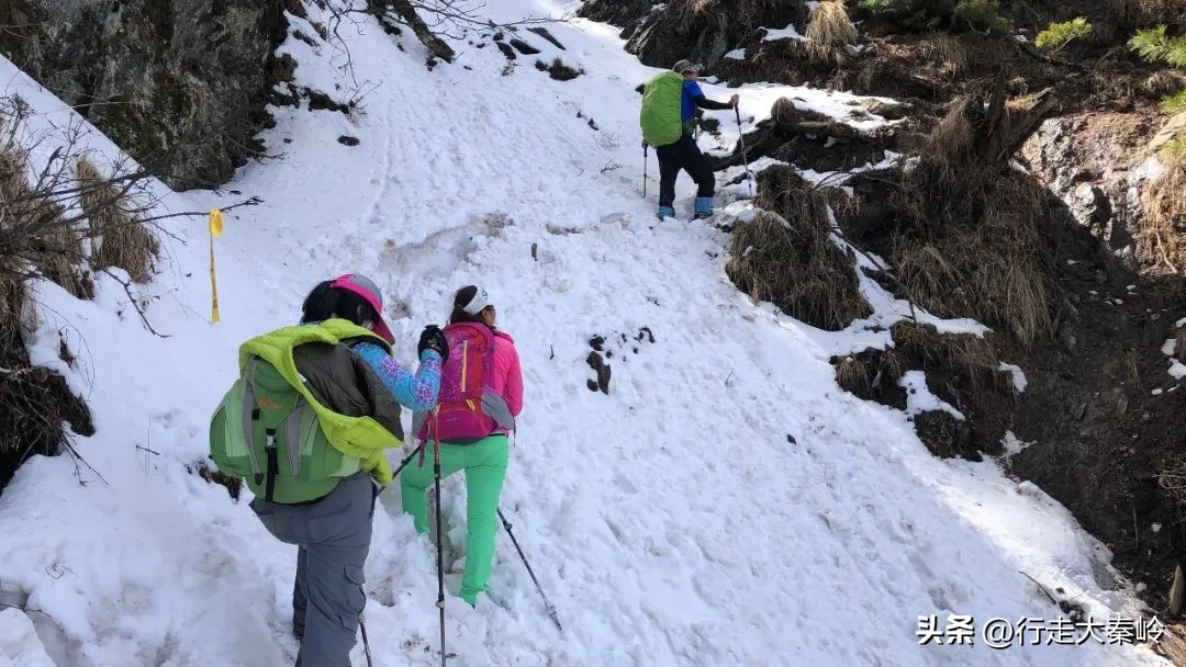 首阳山穿越大坪梁景色怎么样,大坪梁穿越到首阳山攻略