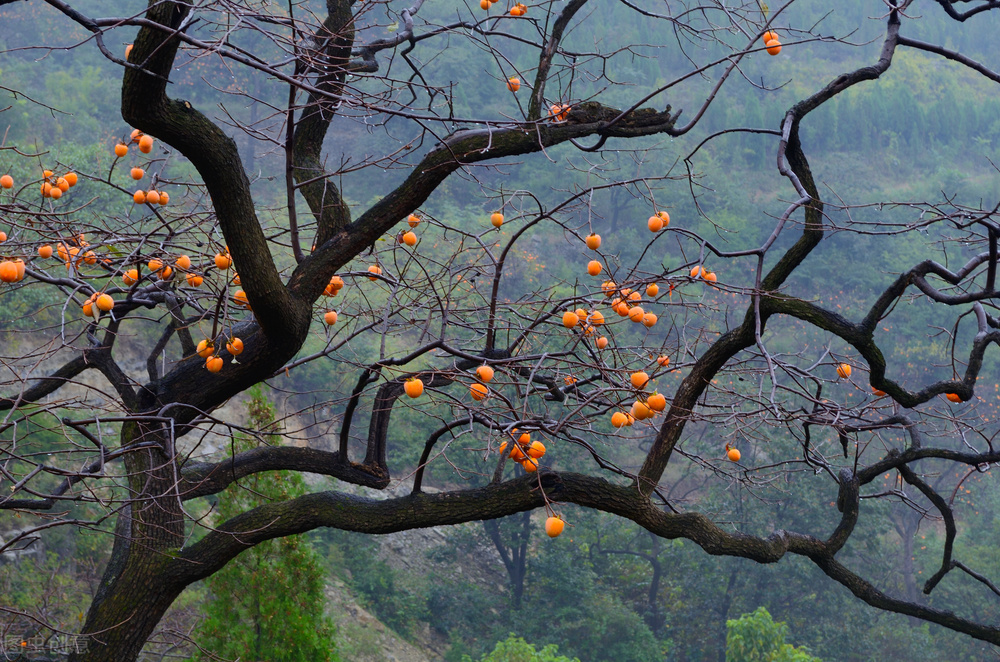 外汇投机有几种方式,外汇投机交易的种类是哪些