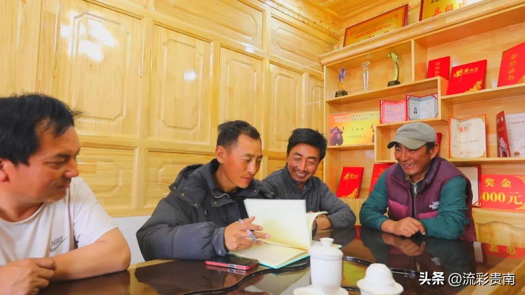 乡村振兴畜牧业,畜牧业乡村振兴