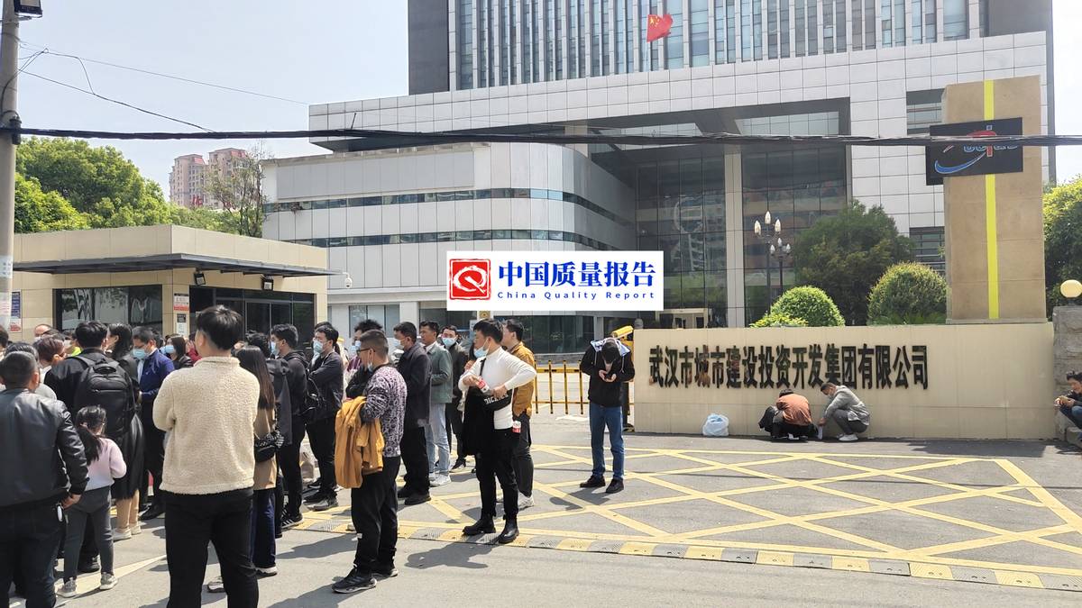 武汉城投丰山府去化率,武汉城投丰山府