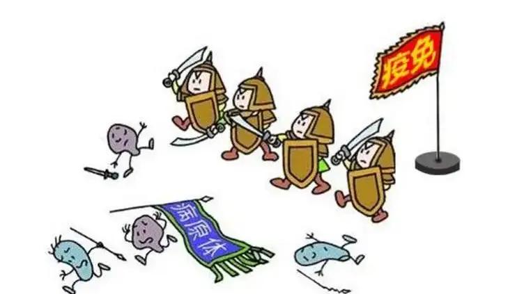 免疫力低下怎样才能增强免疫力,免疫力低下的人怎样提高免疫力