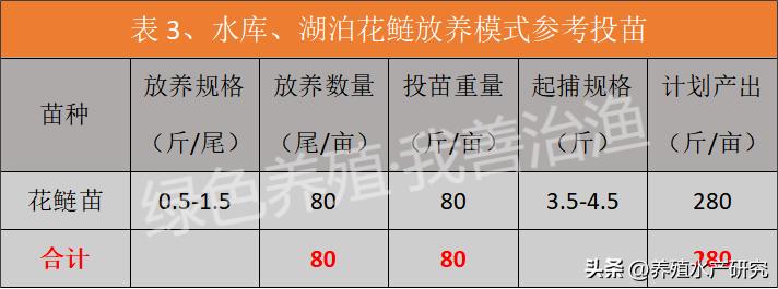 花白鲢什么时候放最佳,花白鲢用什么喂最好
