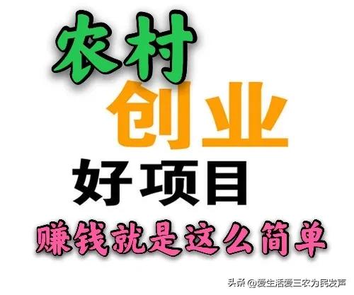 快速回本的十大农村项目,农村不起眼的商机一千元创业项目